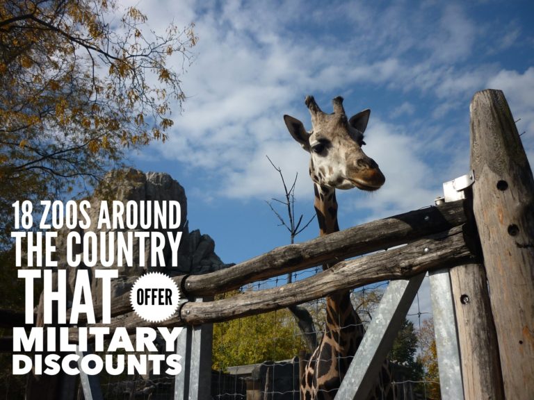 18 Zoos Around The Country That Offer Military Discounts